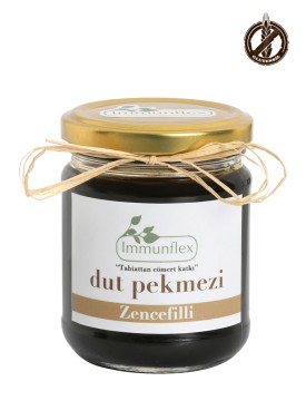 Zencefilli Dut Pekmezi