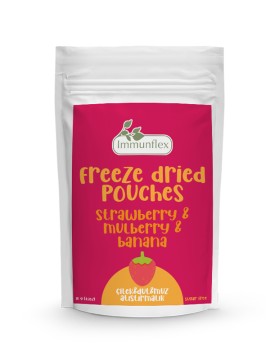 Freeze Dried Çilek & Dut & Muz Atıştırmalık